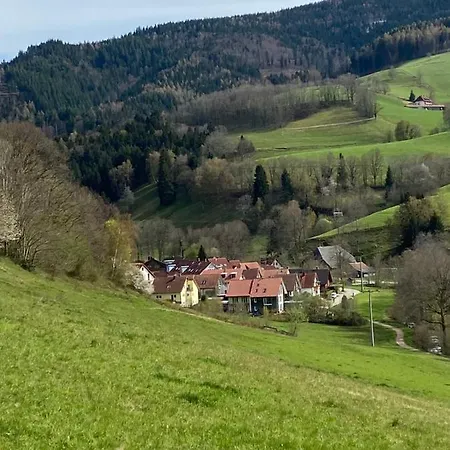 Schwarzwaldglueck Apartment Oberried  Exterior photo