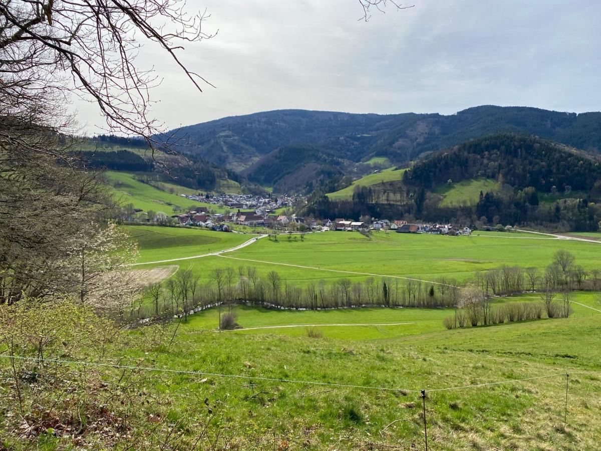 Apartment Schwarzwaldglueck Oberried (Breisgau)